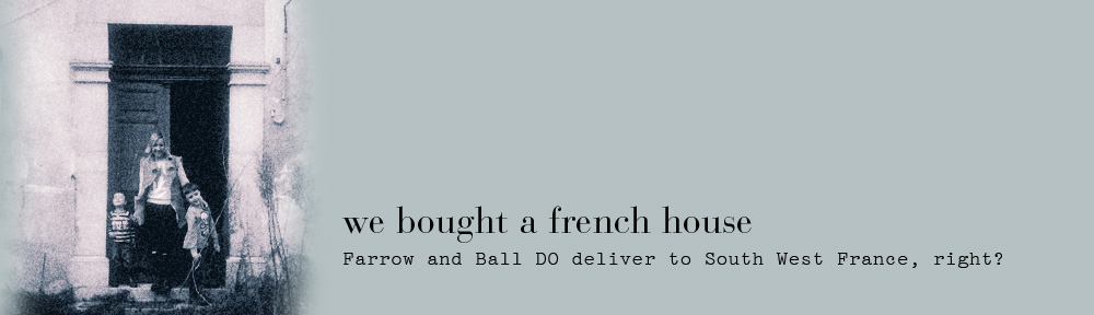 we bought a french house