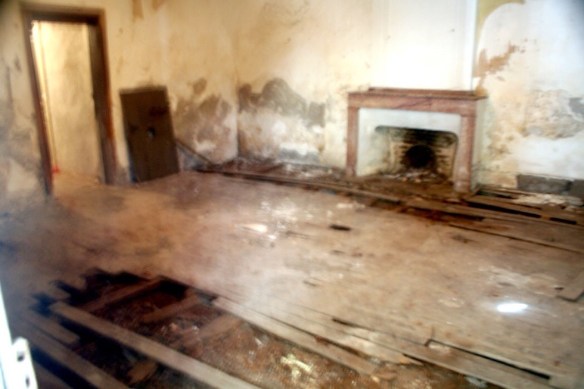 Our 'rat run' home to lots of furry friends